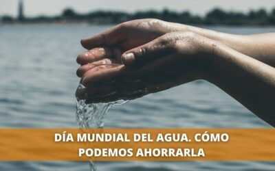 Día Mundial del Agua. Cómo ahorrar agua en tiempos de sequía